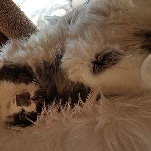 Meet your Posher, Lynn